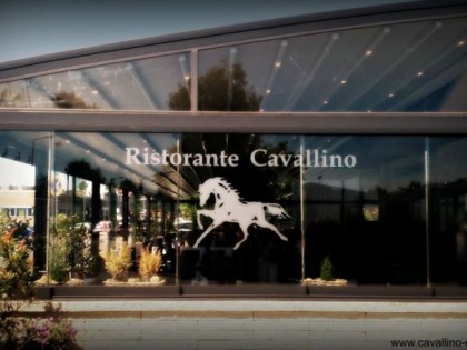 Photo: Cavallino